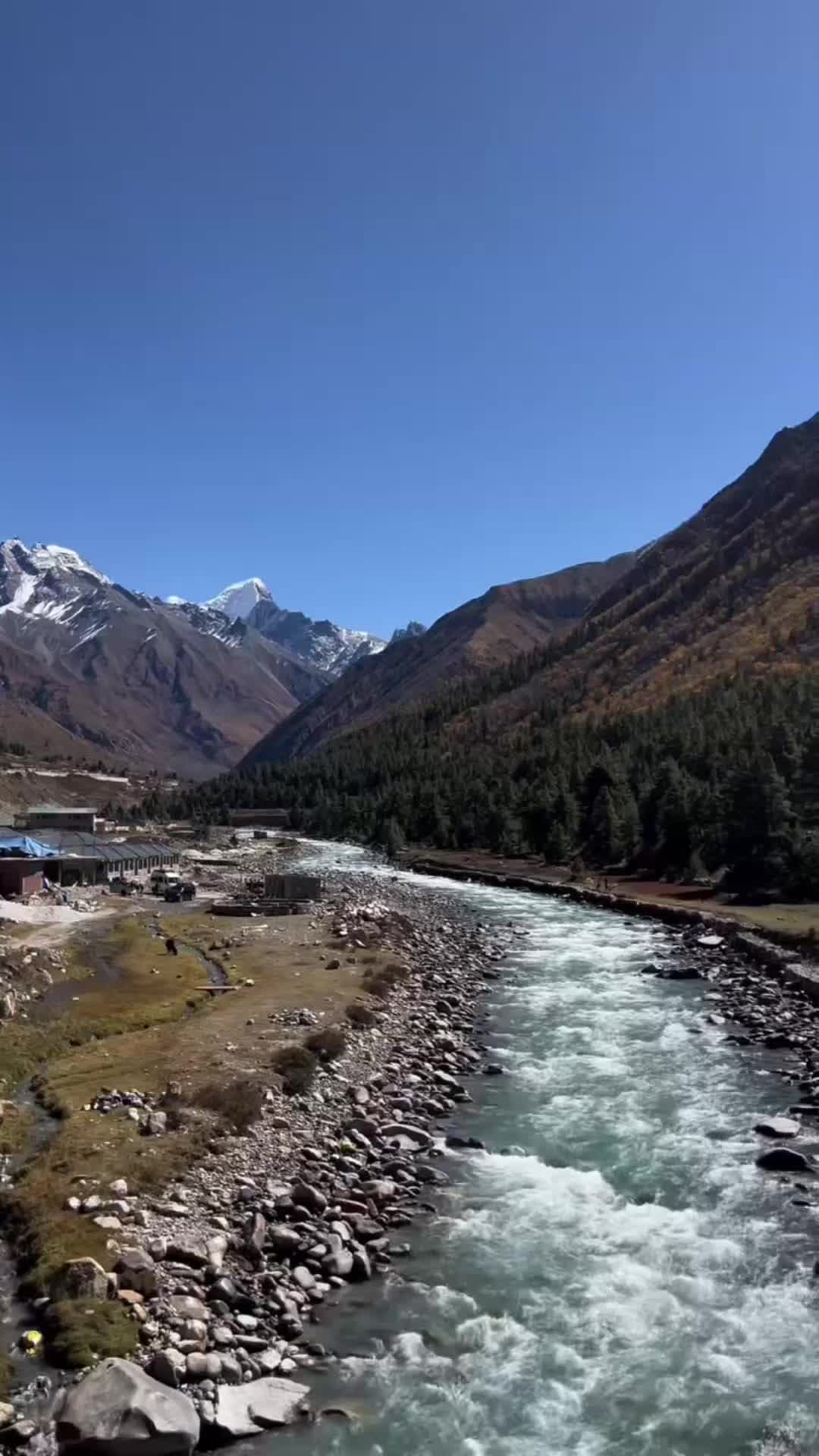 Travel Tribes Reel